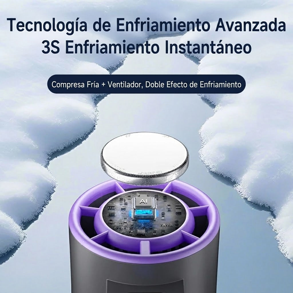 FaniArzee