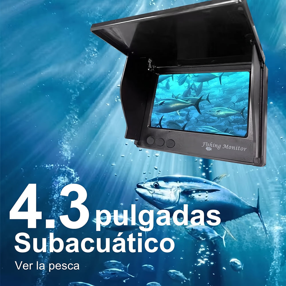 DiveVuse