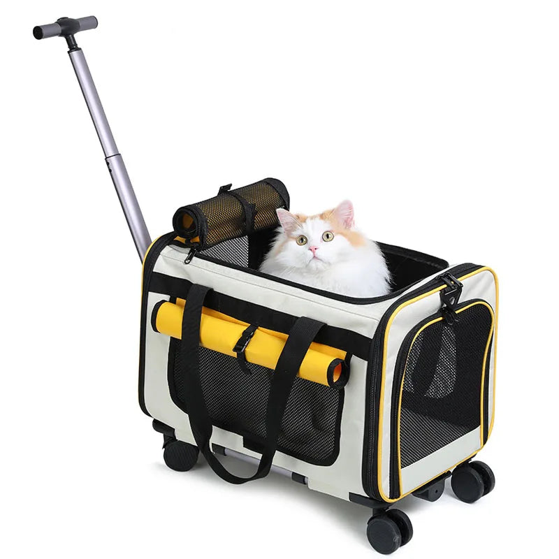 Catrollax