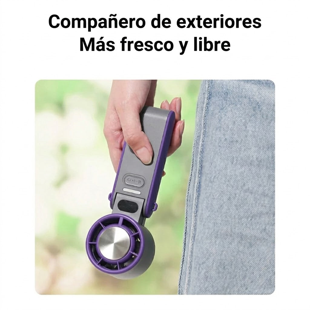 FaniArzee
