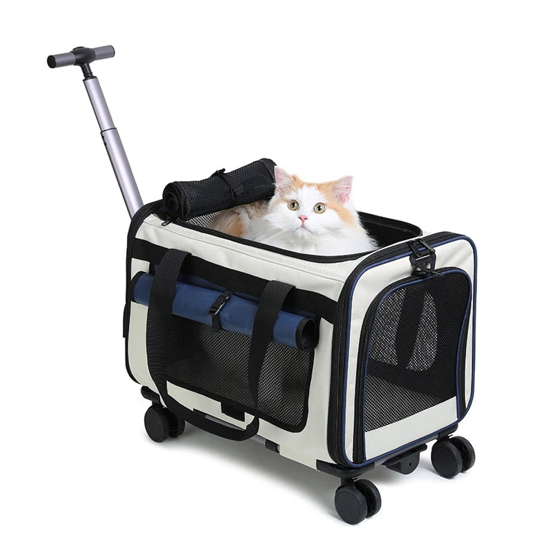 Catrollax