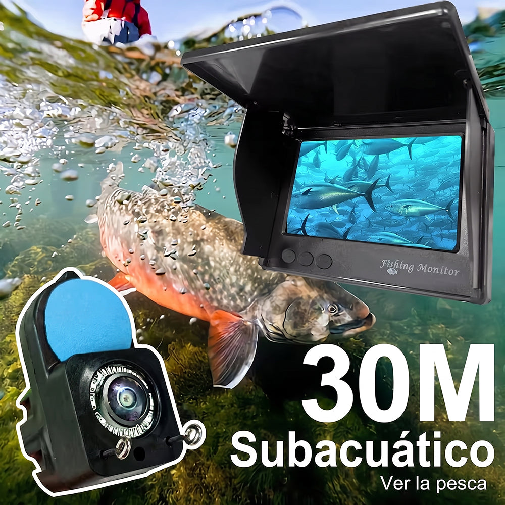 DiveVuse