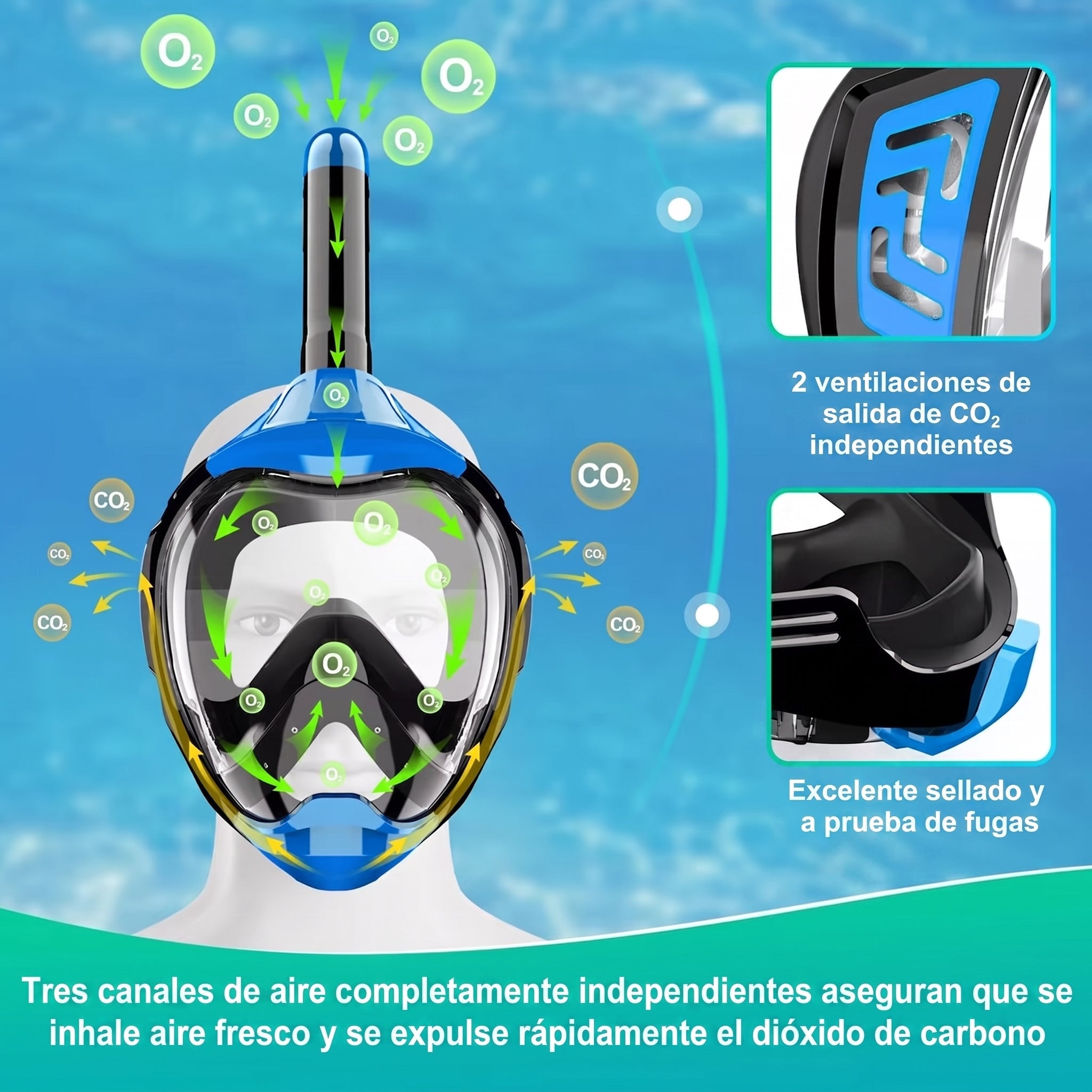 Coralefa