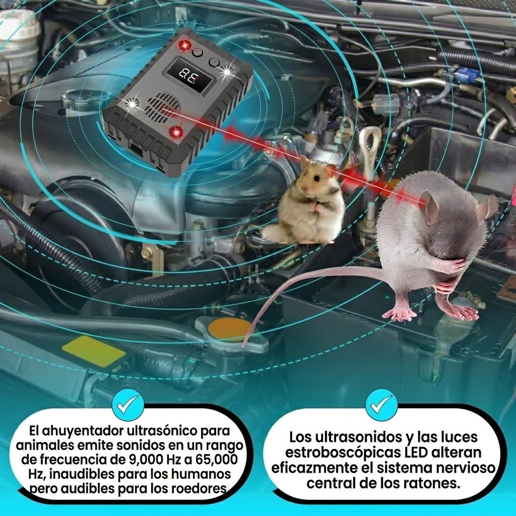 AutexRat