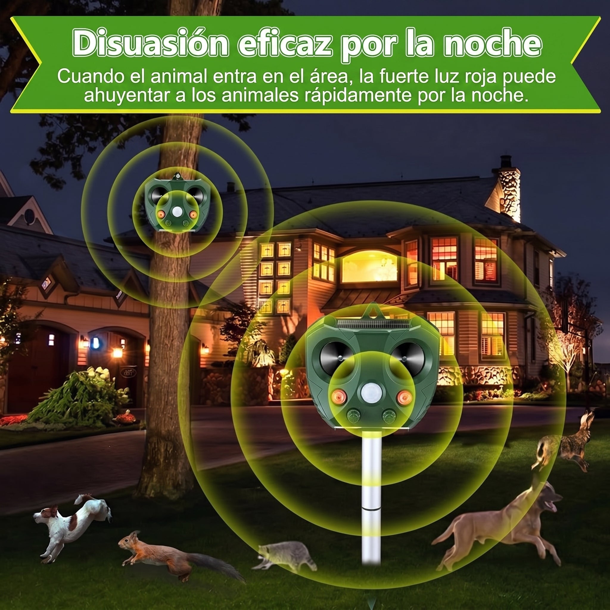 Guardixim