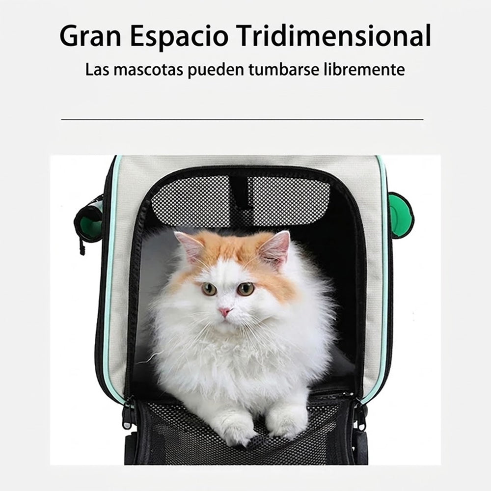 Catrollax