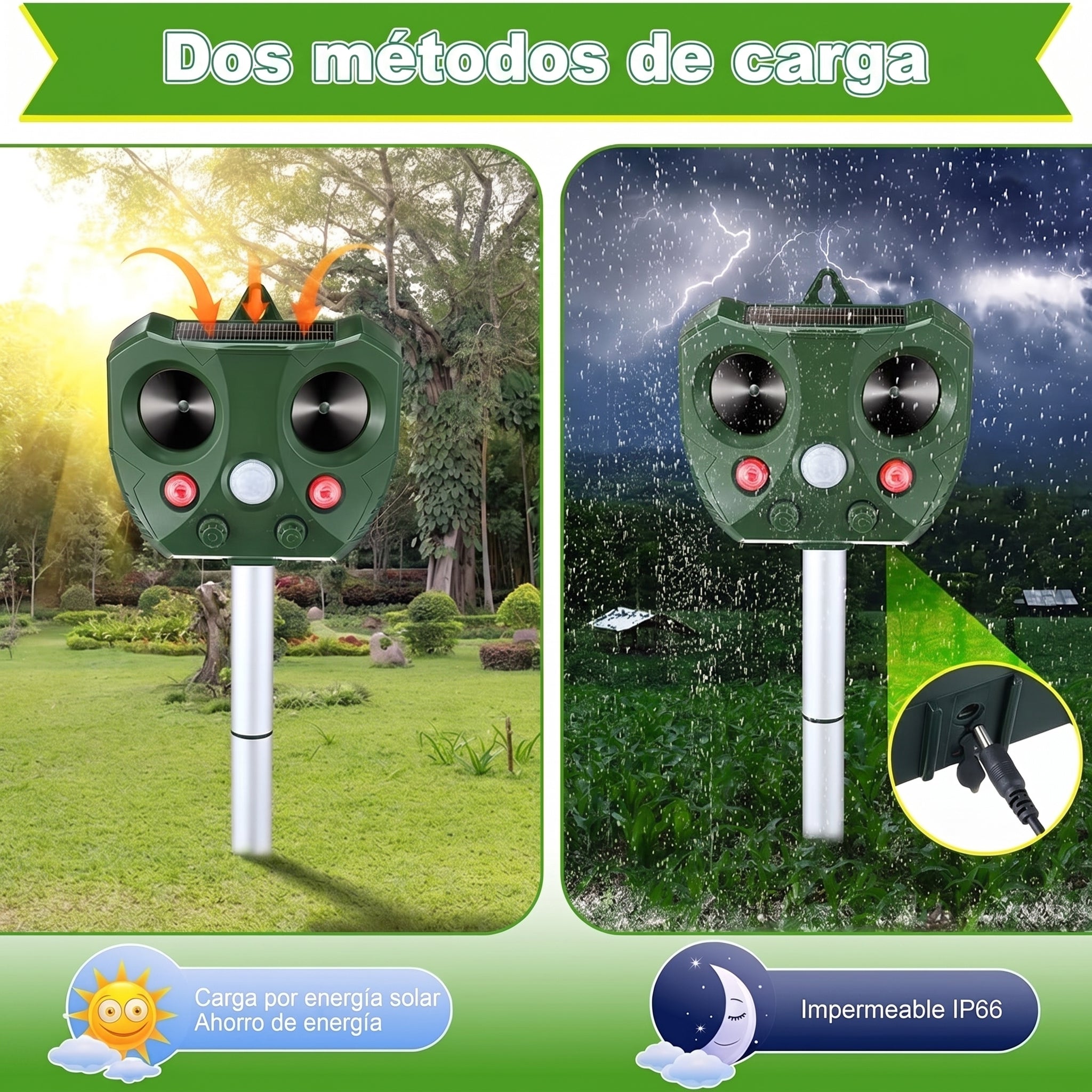 Guardixim