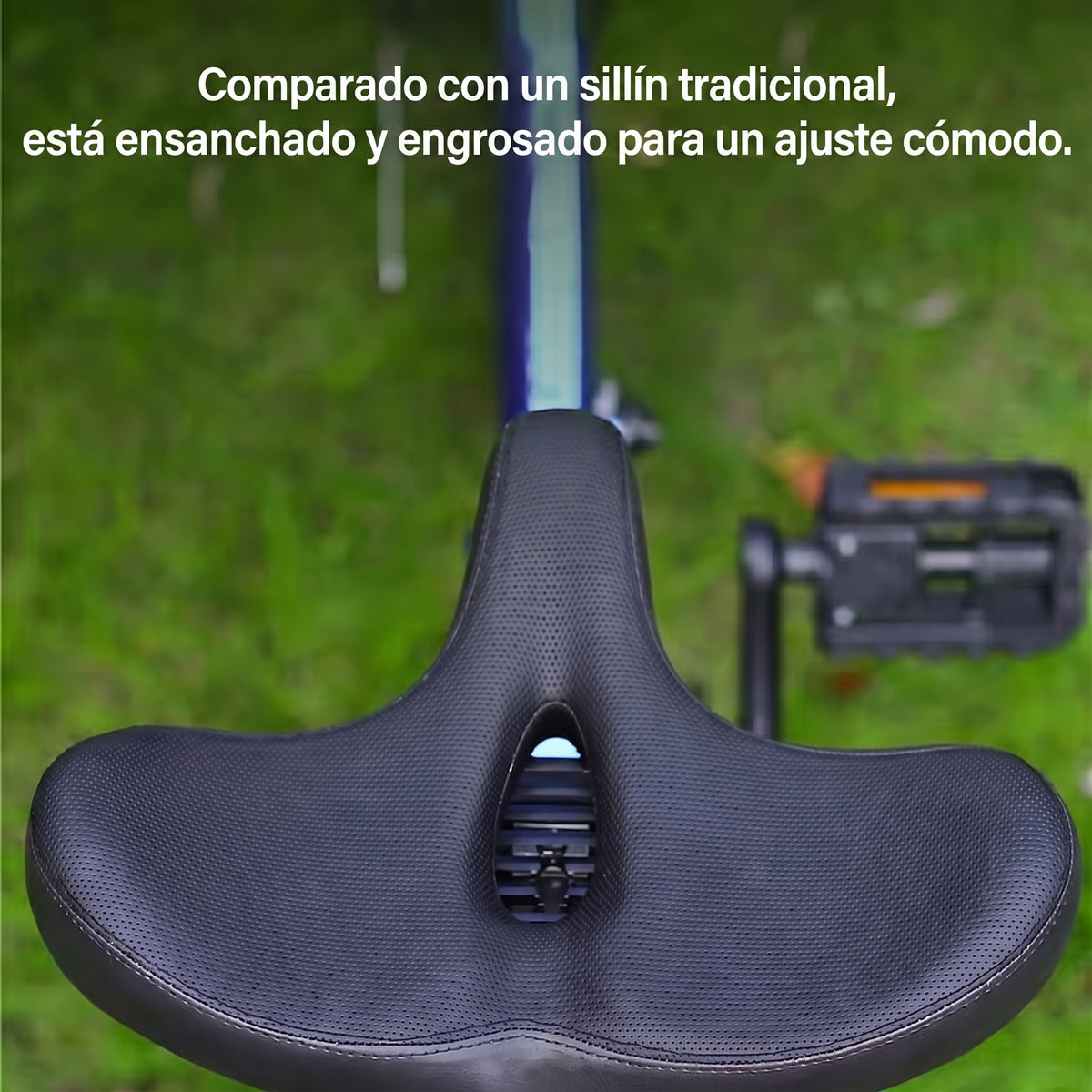 BlisRide