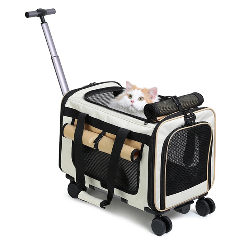 Catrollax