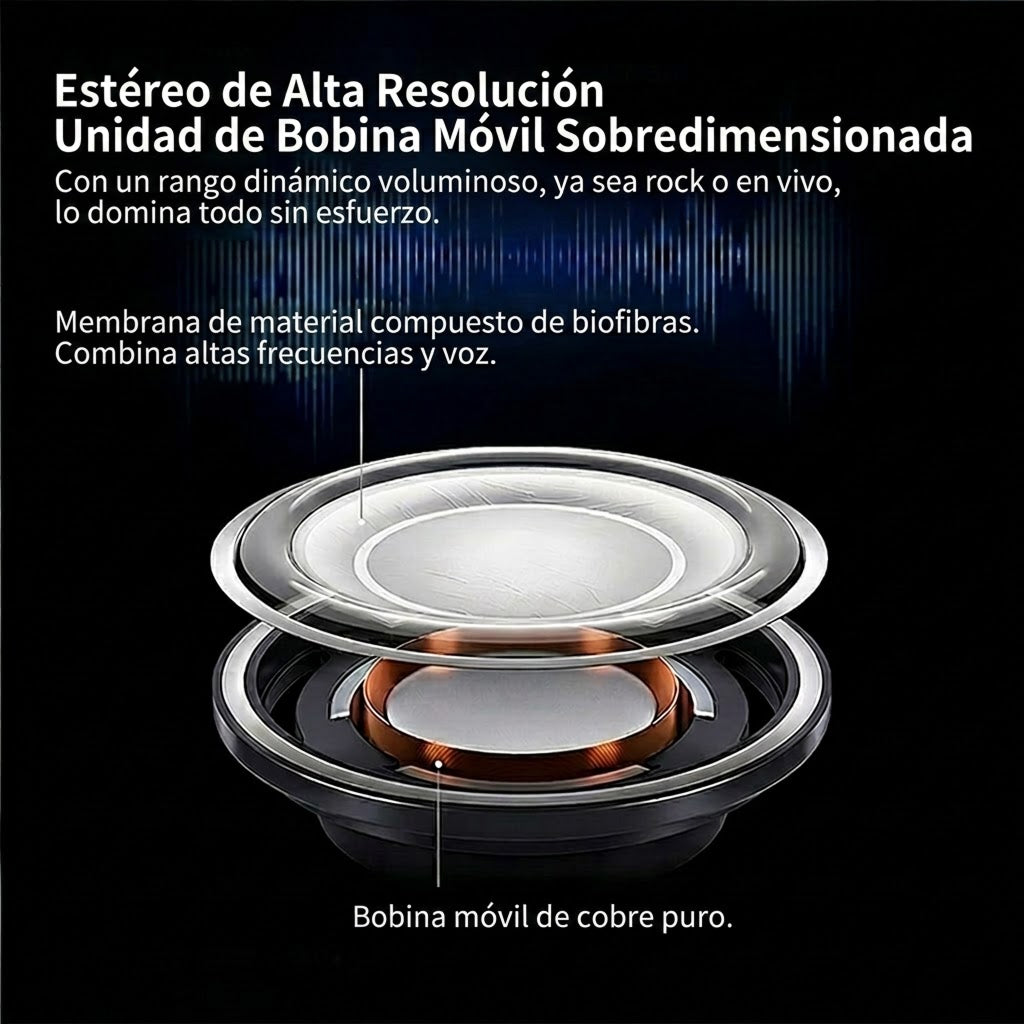 SunRoxax