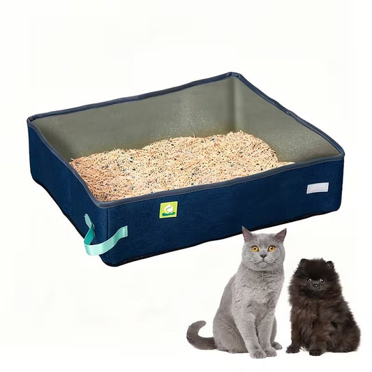 CatPoxta