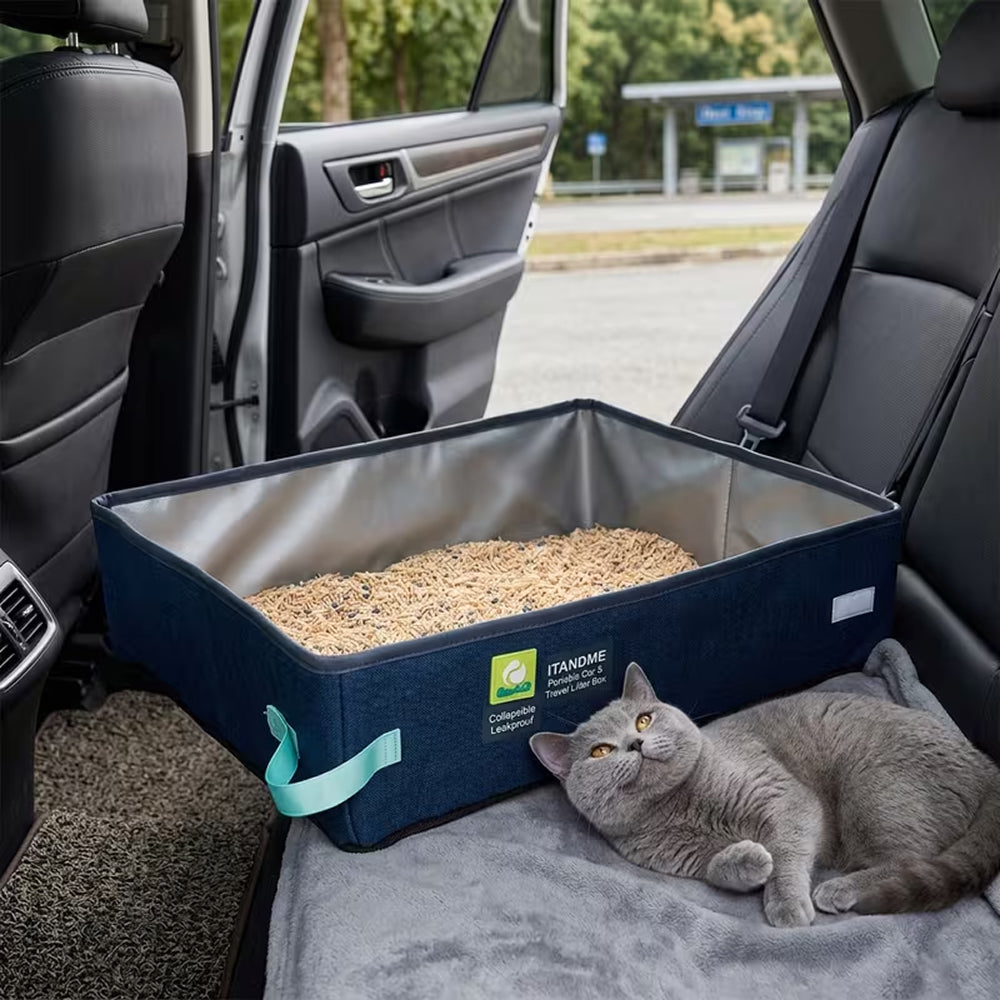 CatPoxta