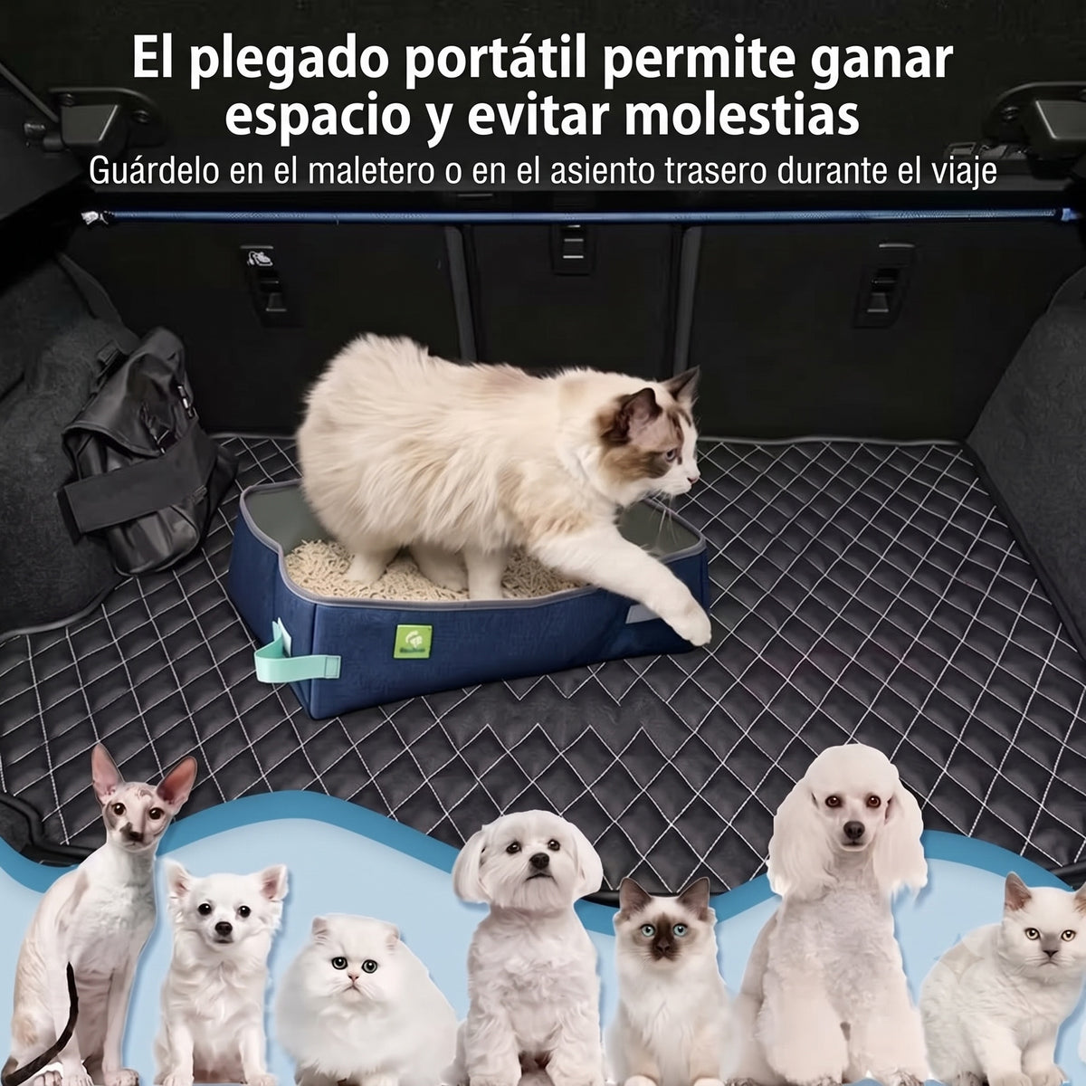 CatPoxta