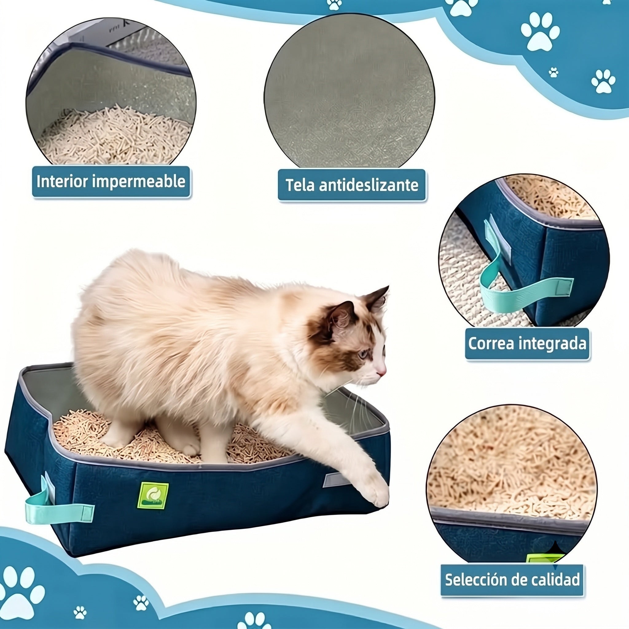 CatPoxta