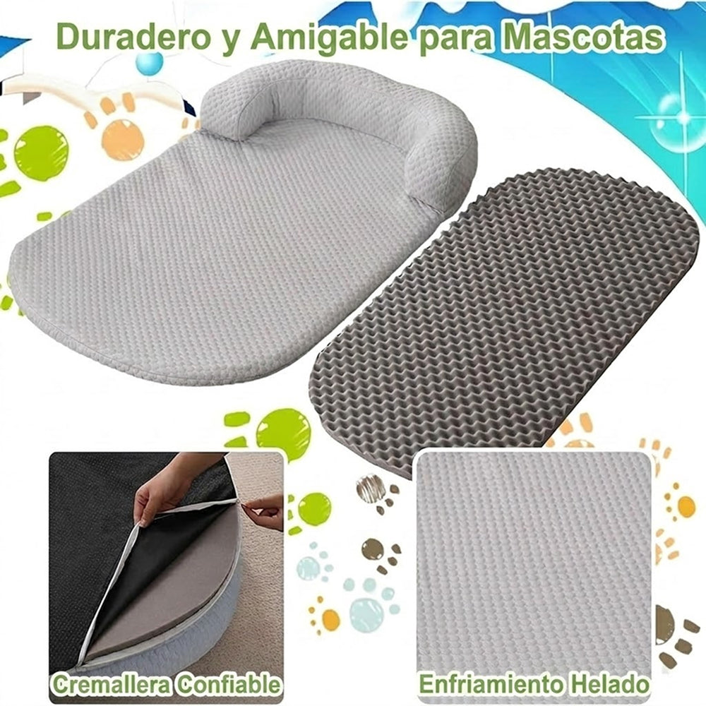CoolasPet