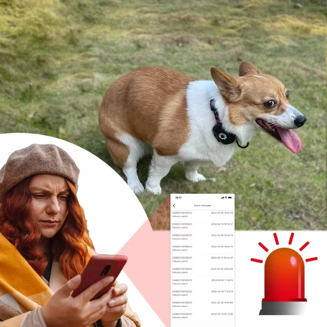PerroColr