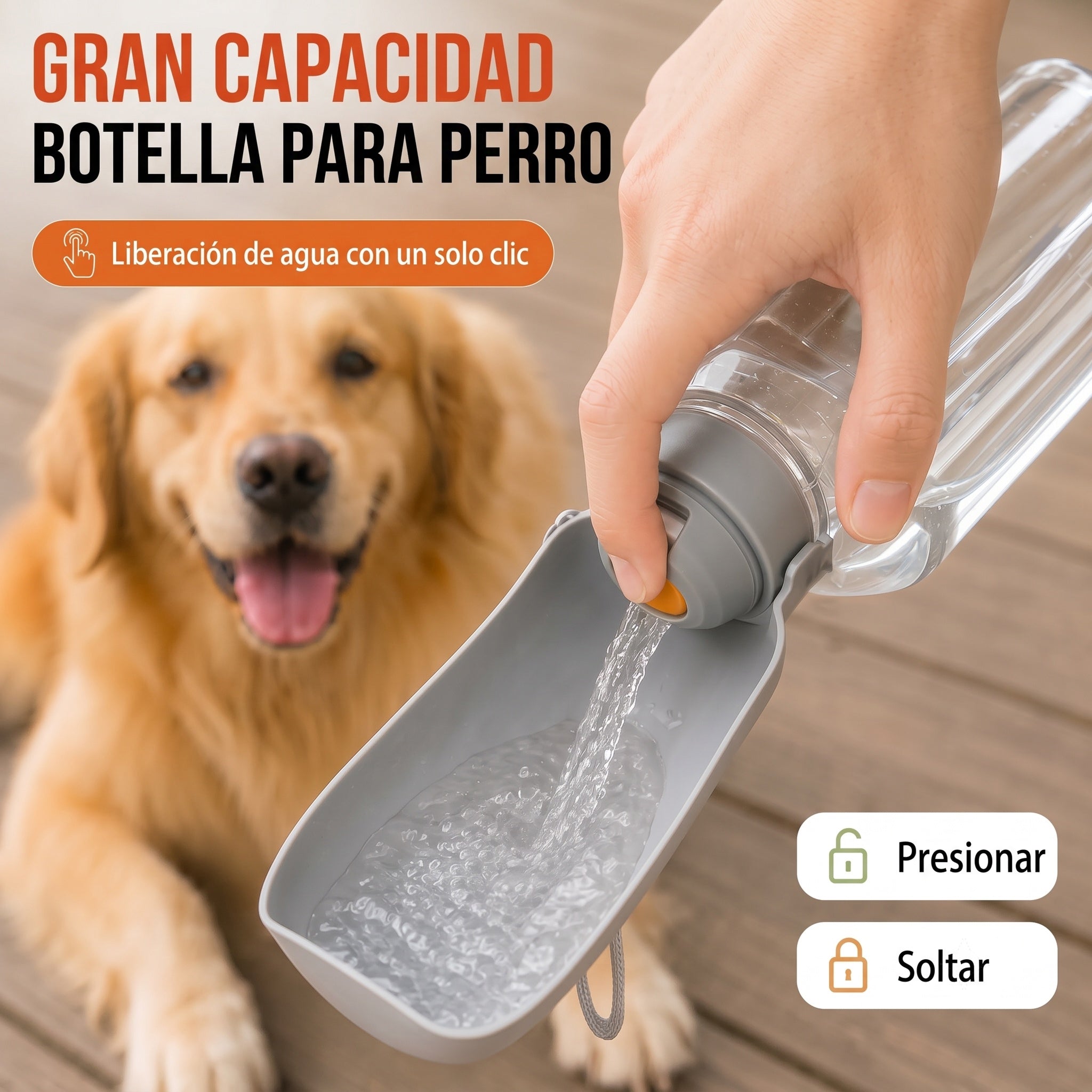 DogSiply