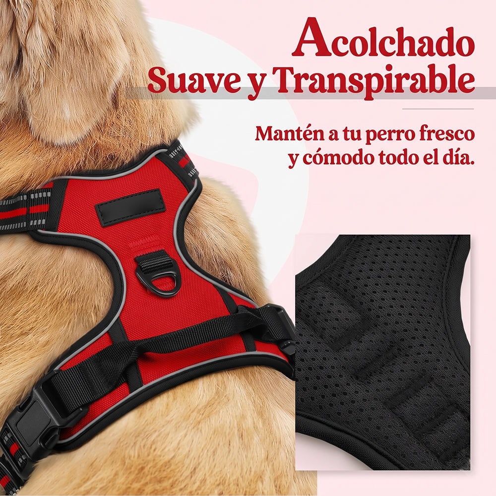 Doghamex