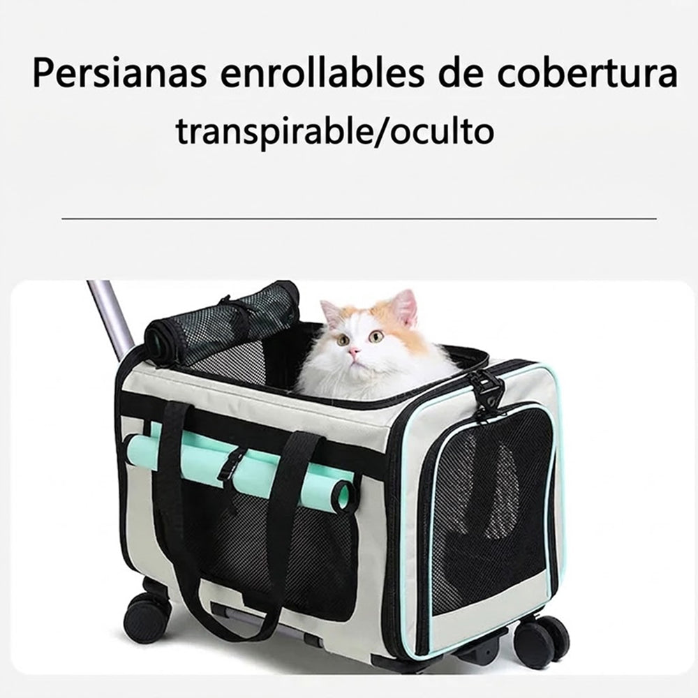 Catrollax