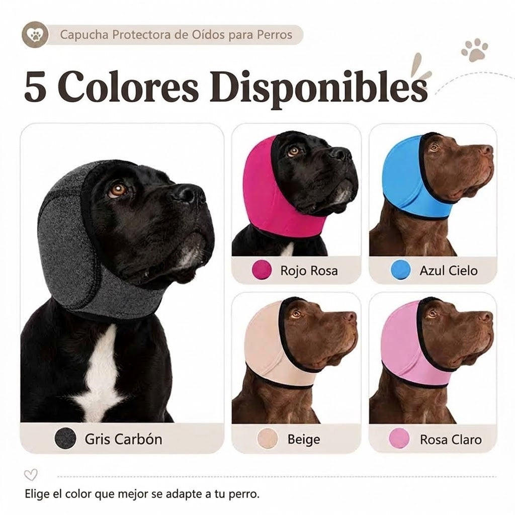 EarPupies