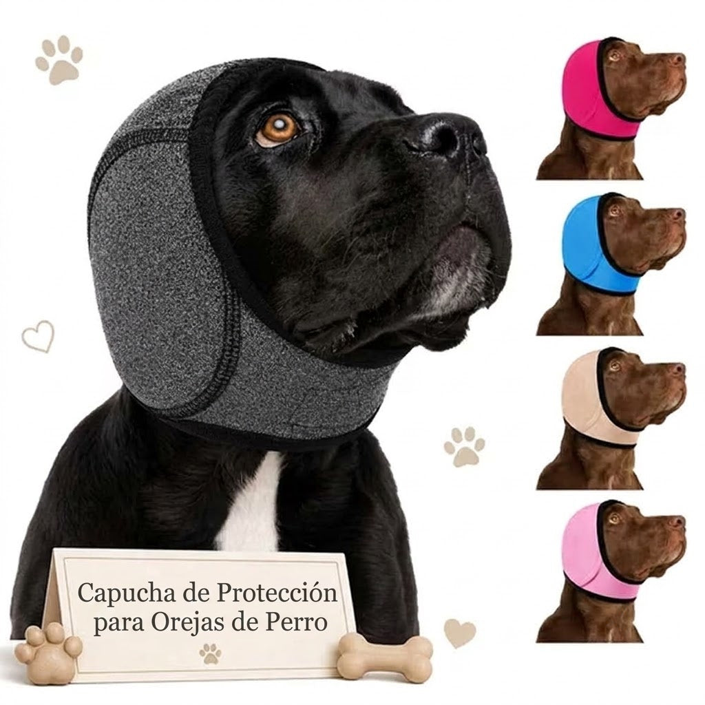 EarPupies