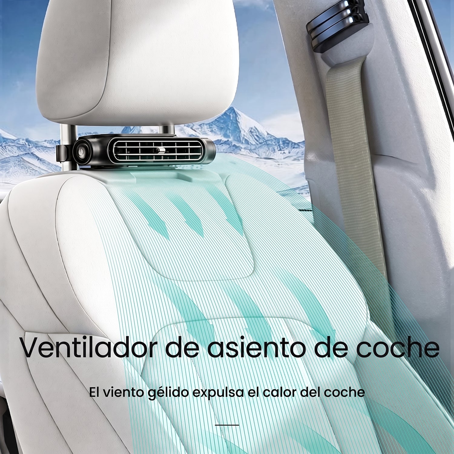 FanziSot