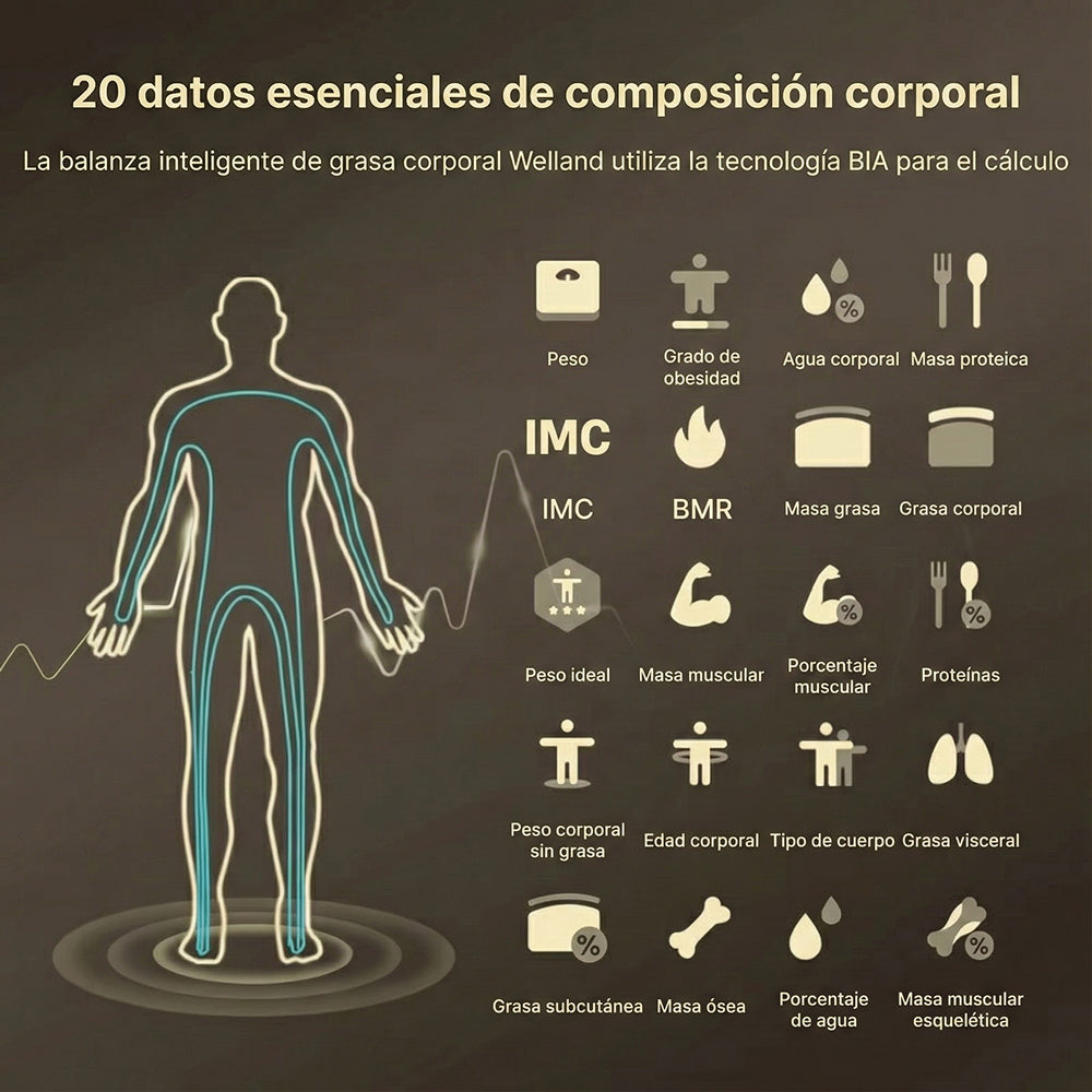 FitgMazz Bascula Bioimpedancia