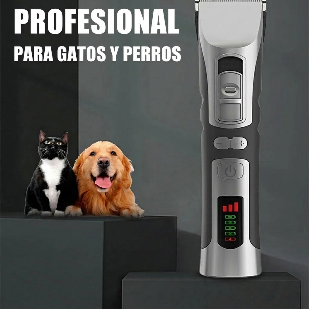FurixCat