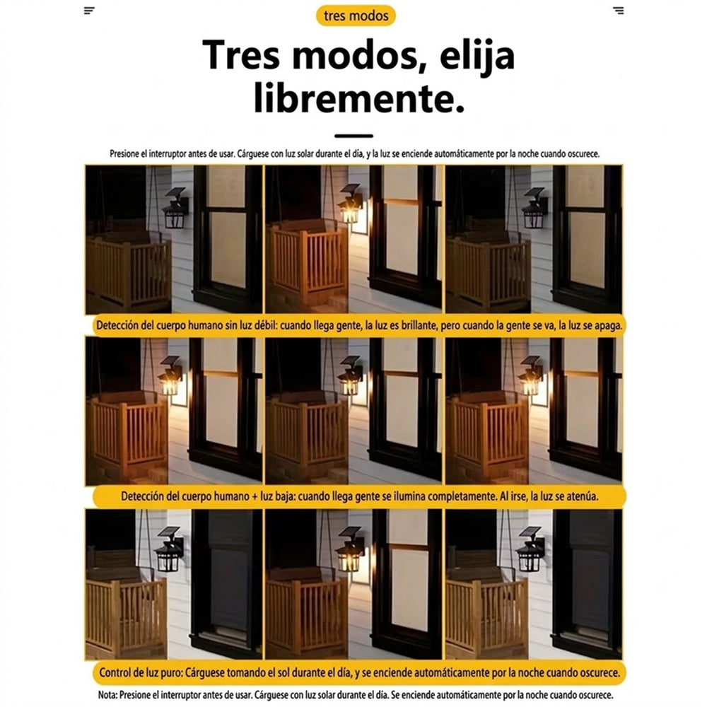 Glowxyta