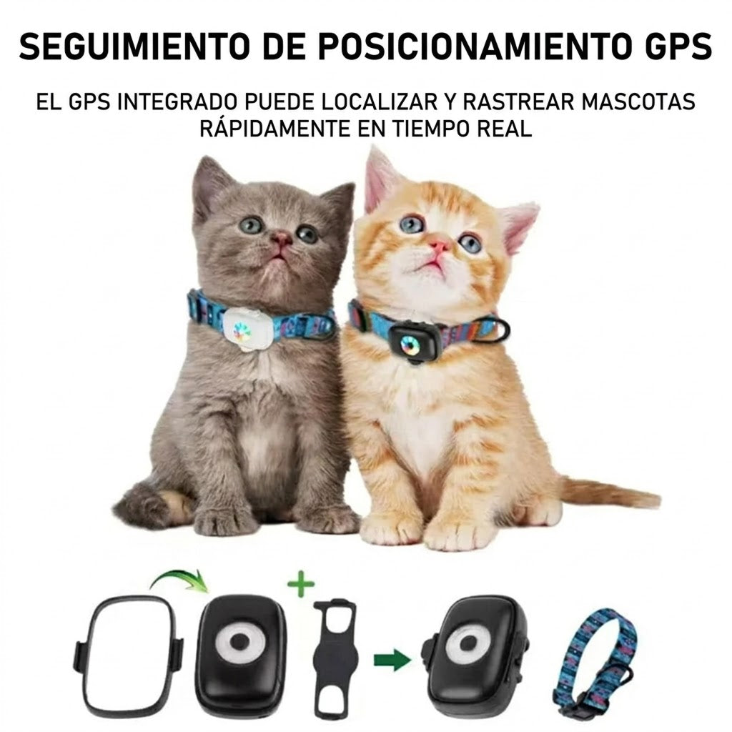 KetuGatos