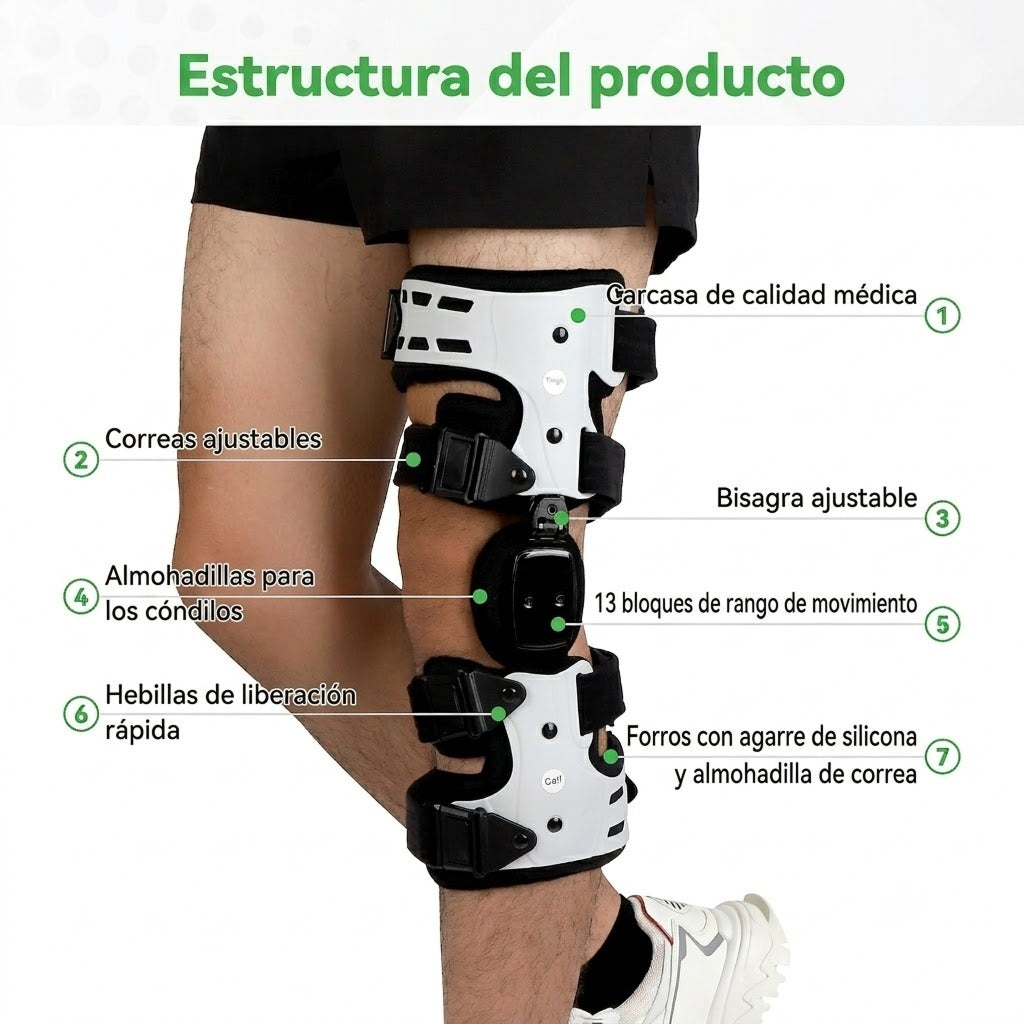 KneZenix