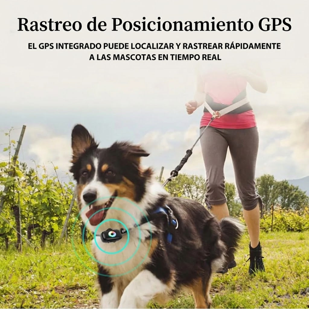 PerroColr