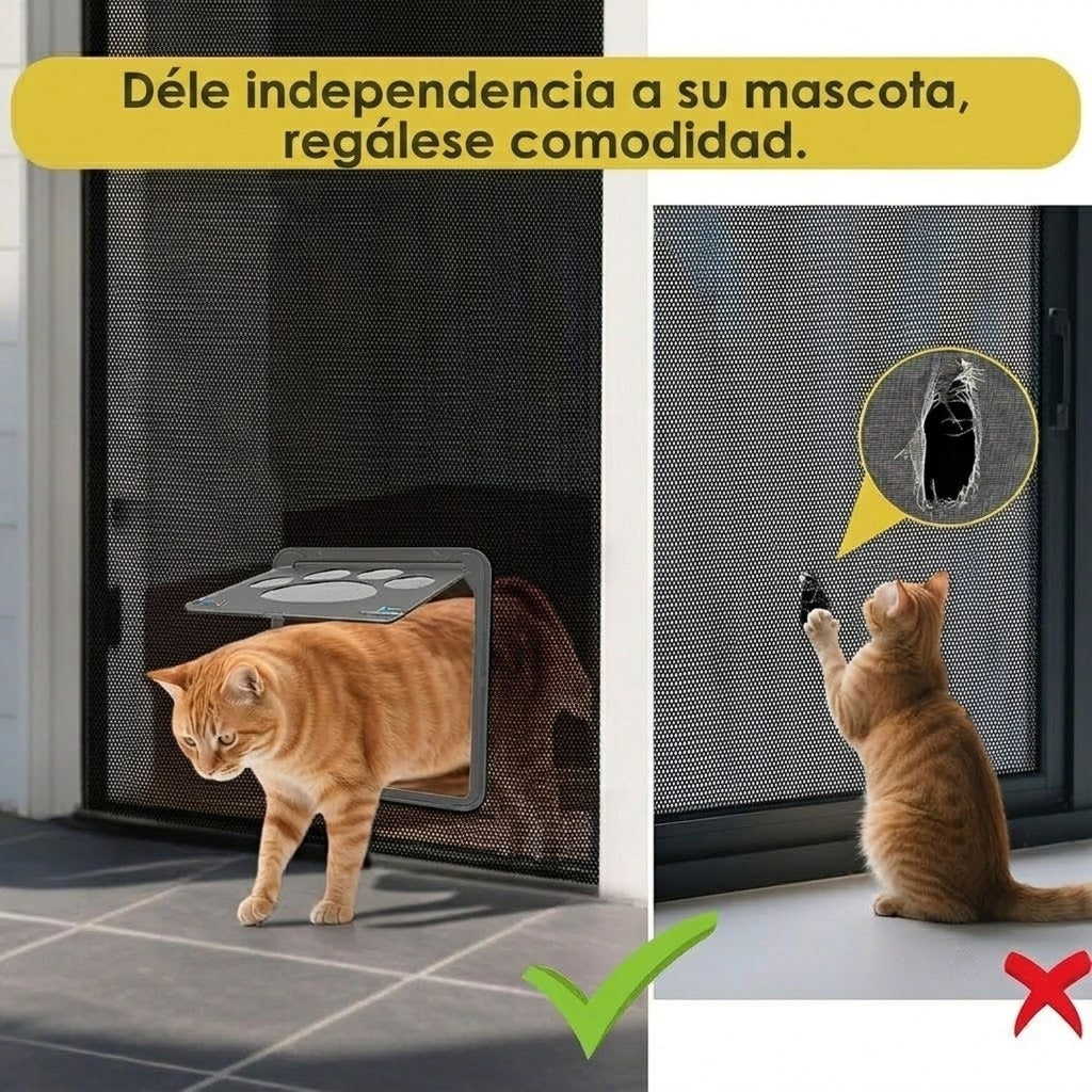 PupiPassi