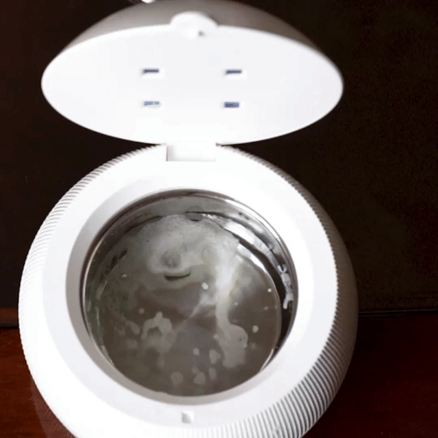 Purepesty Limpiador Ultrasónico Dental