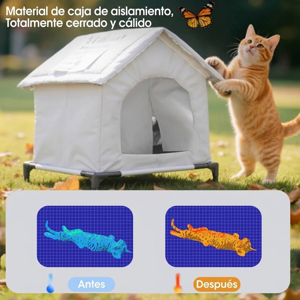 PurryHut