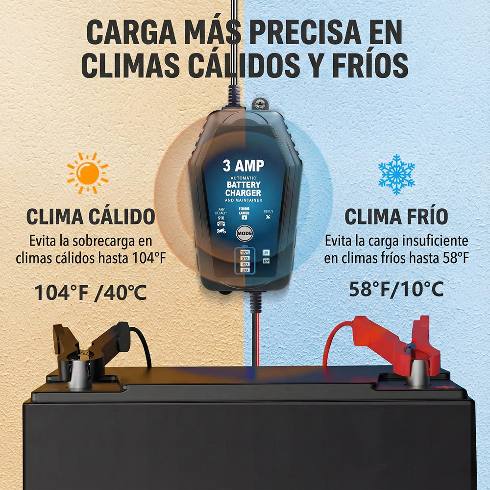 Voltebax Mantenedor De Batería