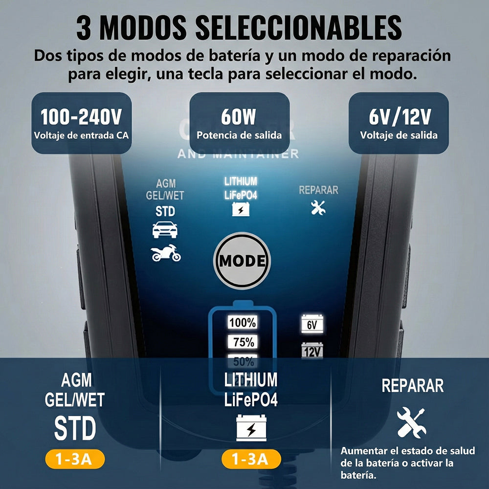 Voltebax Mantenedor De Batería