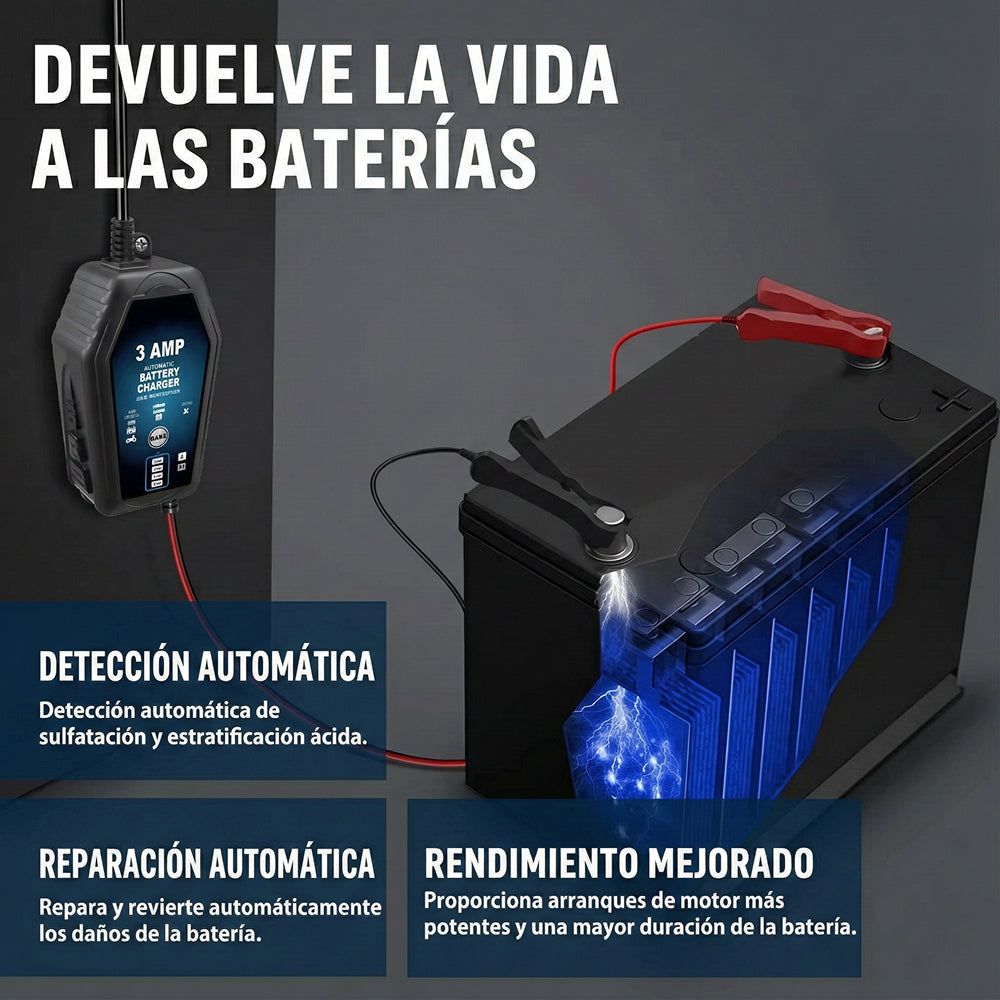 Voltebax Mantenedor De Batería