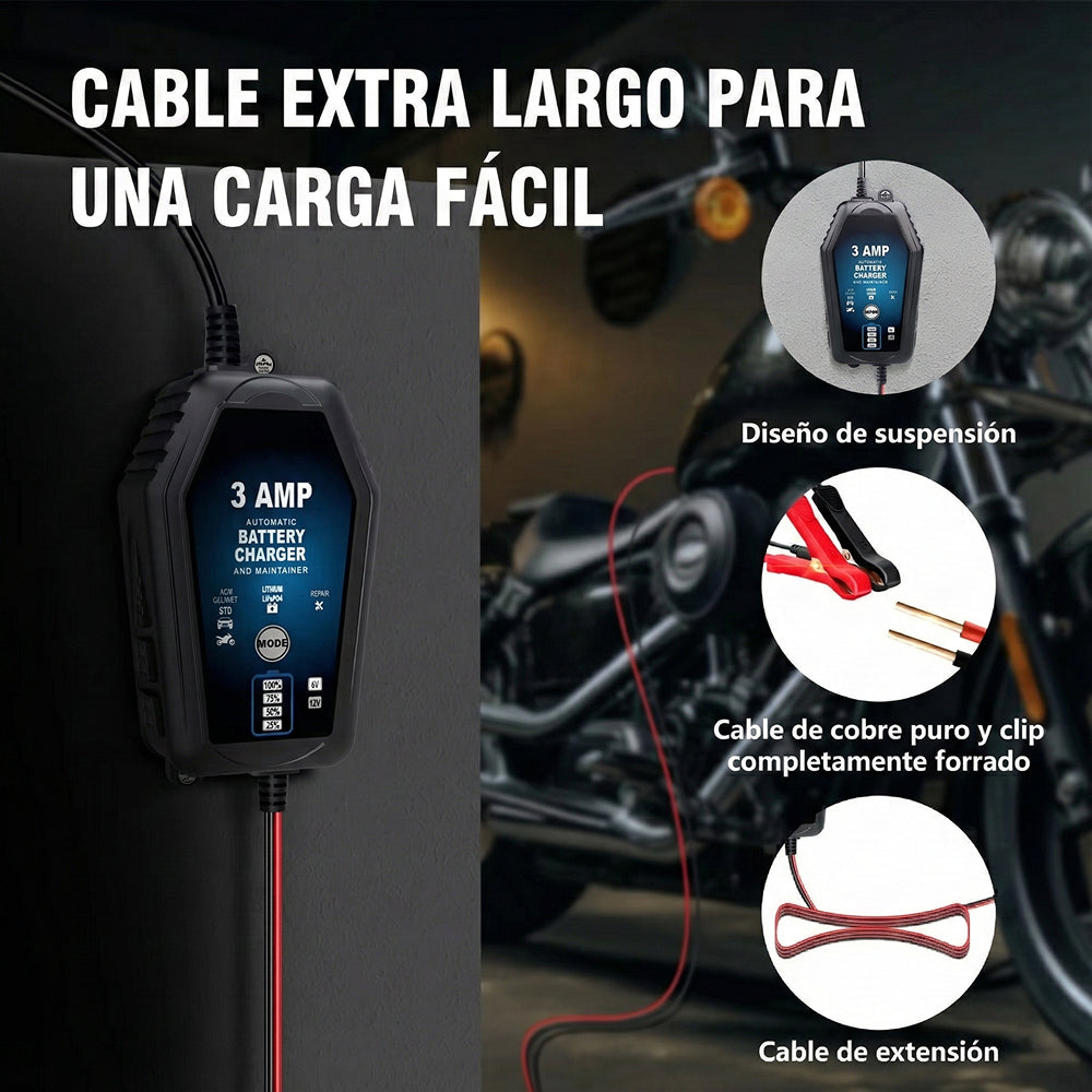 Voltebax Mantenedor De Batería