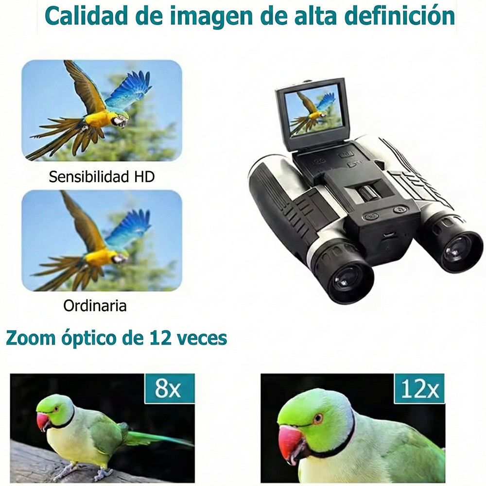 Zoomastor